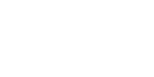 weiß-woocommerce-logo-web-development
